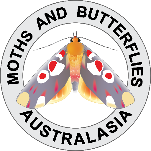 Moths and Butterfly Australasia logo
